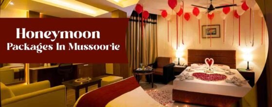 Honeymoon in Mussoorie Made Magical: Vaydantaa Hotel
